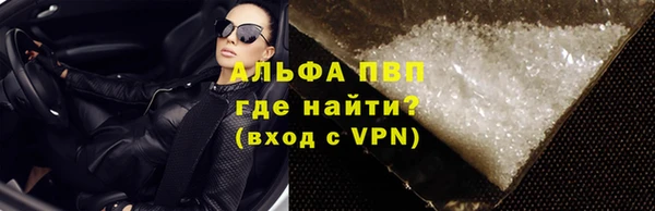 стафф Арсеньев