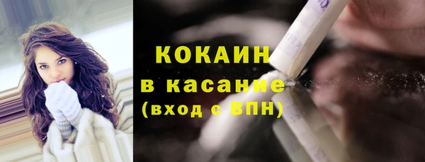 шишки Аркадак