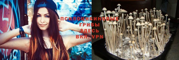стафф Арсеньев