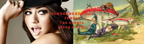 мет Армянск