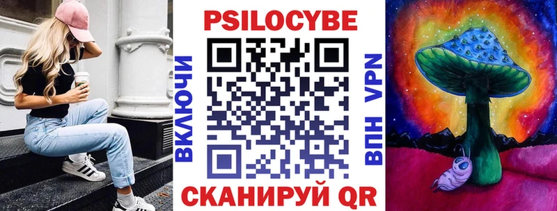 Купить  Кондрово  Псилоцибиновые грибы Cubensis 