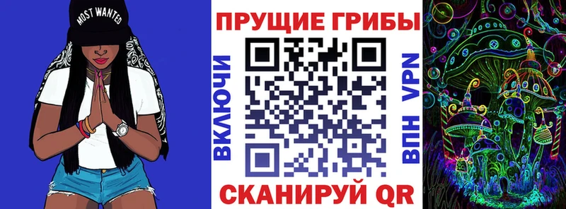 Псилоцибиновые грибы мицелий Кондрово